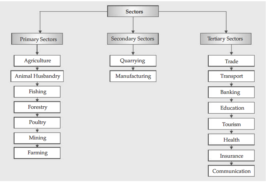 Sectors Of The Indian Economy Class 10 Notes | Class 10 Economics Chapter 2 Notes