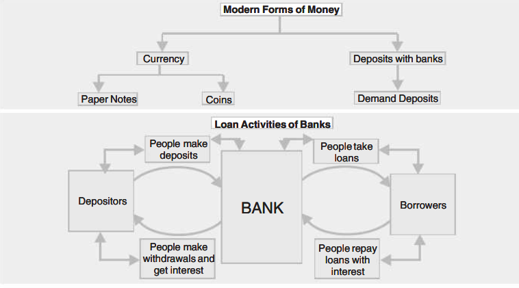 Money And Credit Class 10 Notes | Class 10 Economics Chapter 3 Notes