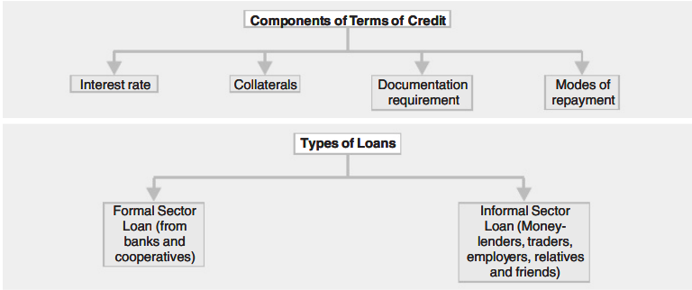 Money And Credit Class 10 Notes | Class 10 Economics Chapter 3 Notes